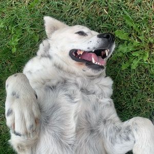 Meet your Posher, Yadira